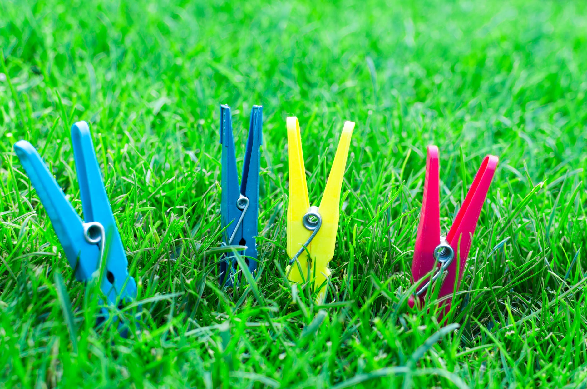 two blue one yellow and one pink clothes clips on green grass