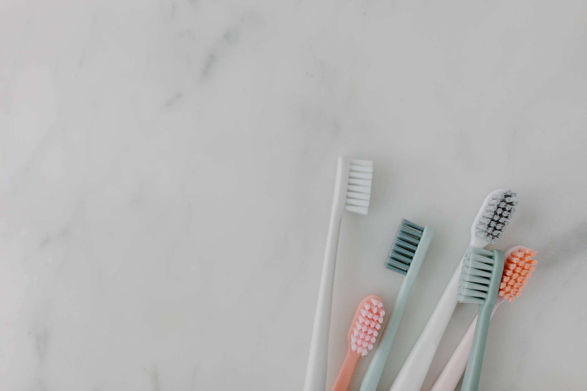 close up photo of toothbrushes
