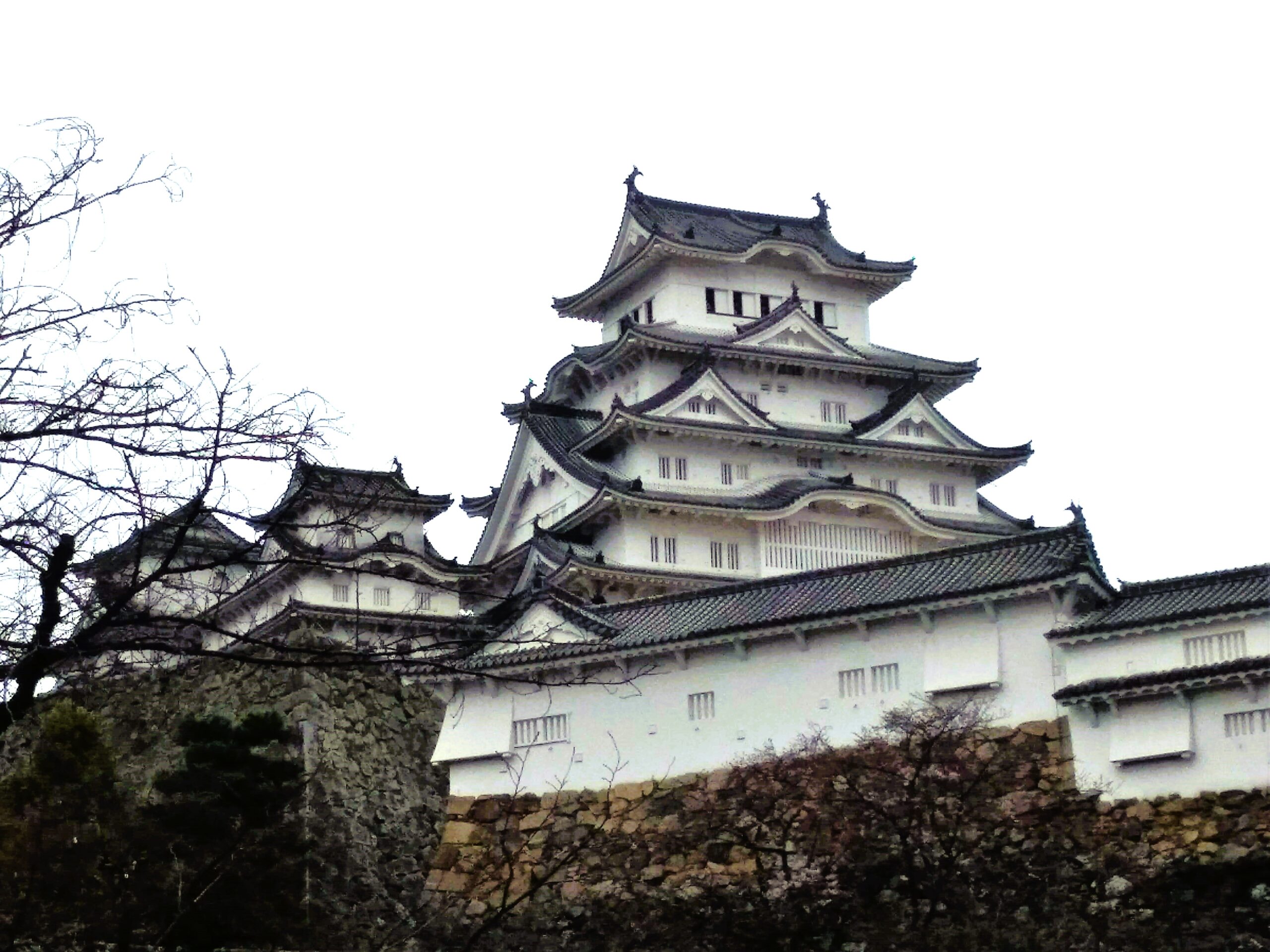 姫路城にて