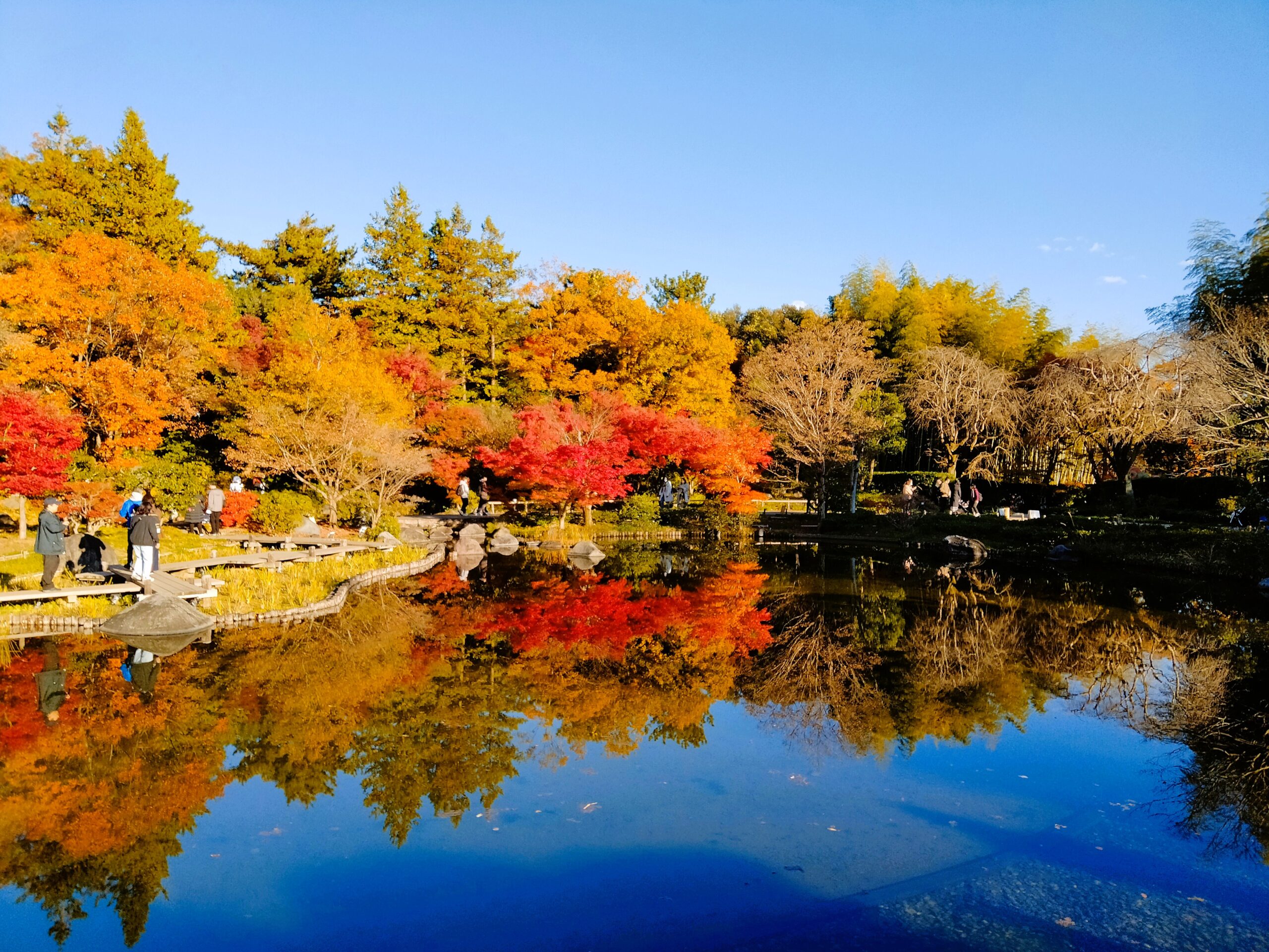 秋の昭和記念公園