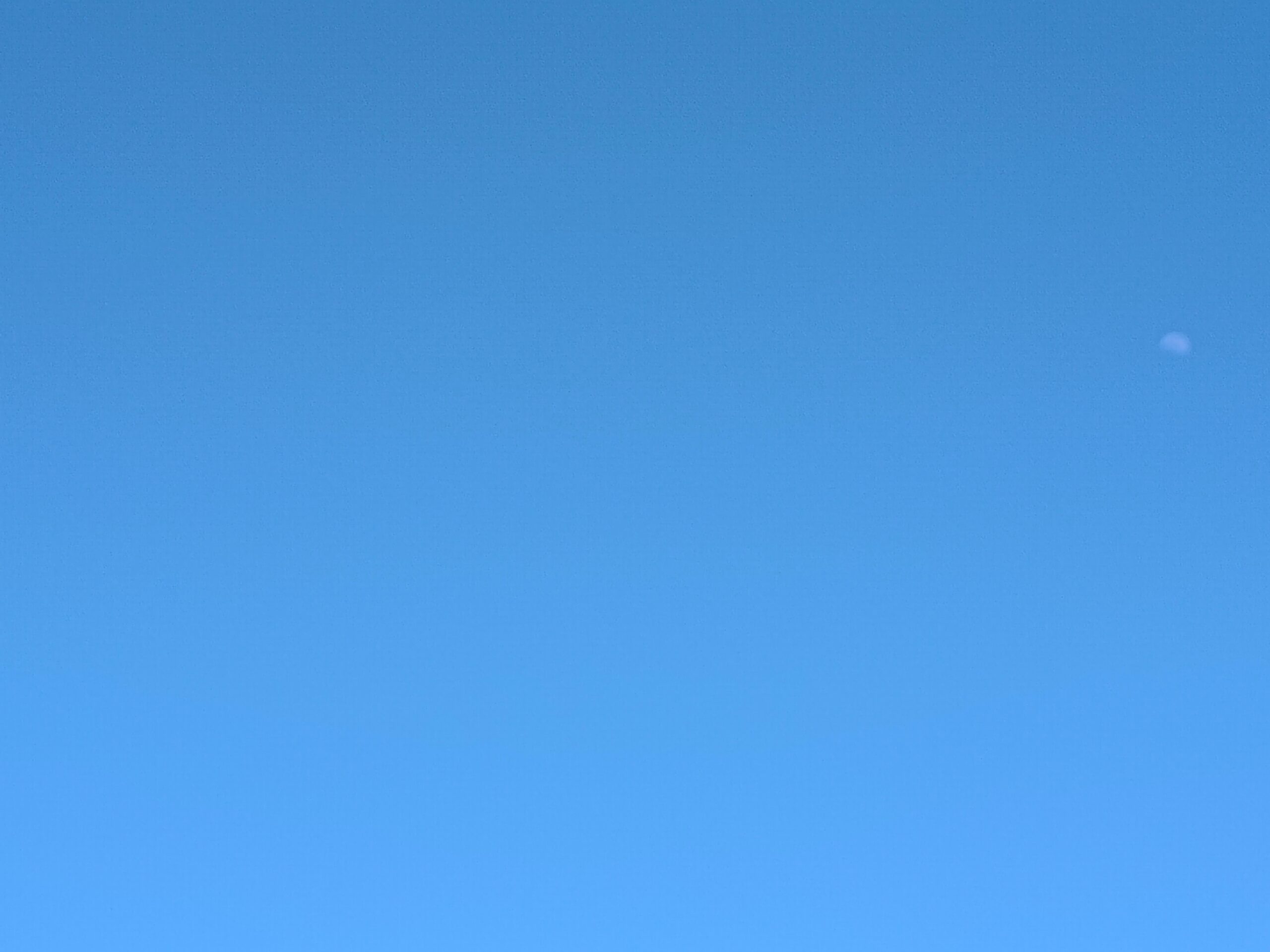 ぬけるような青空