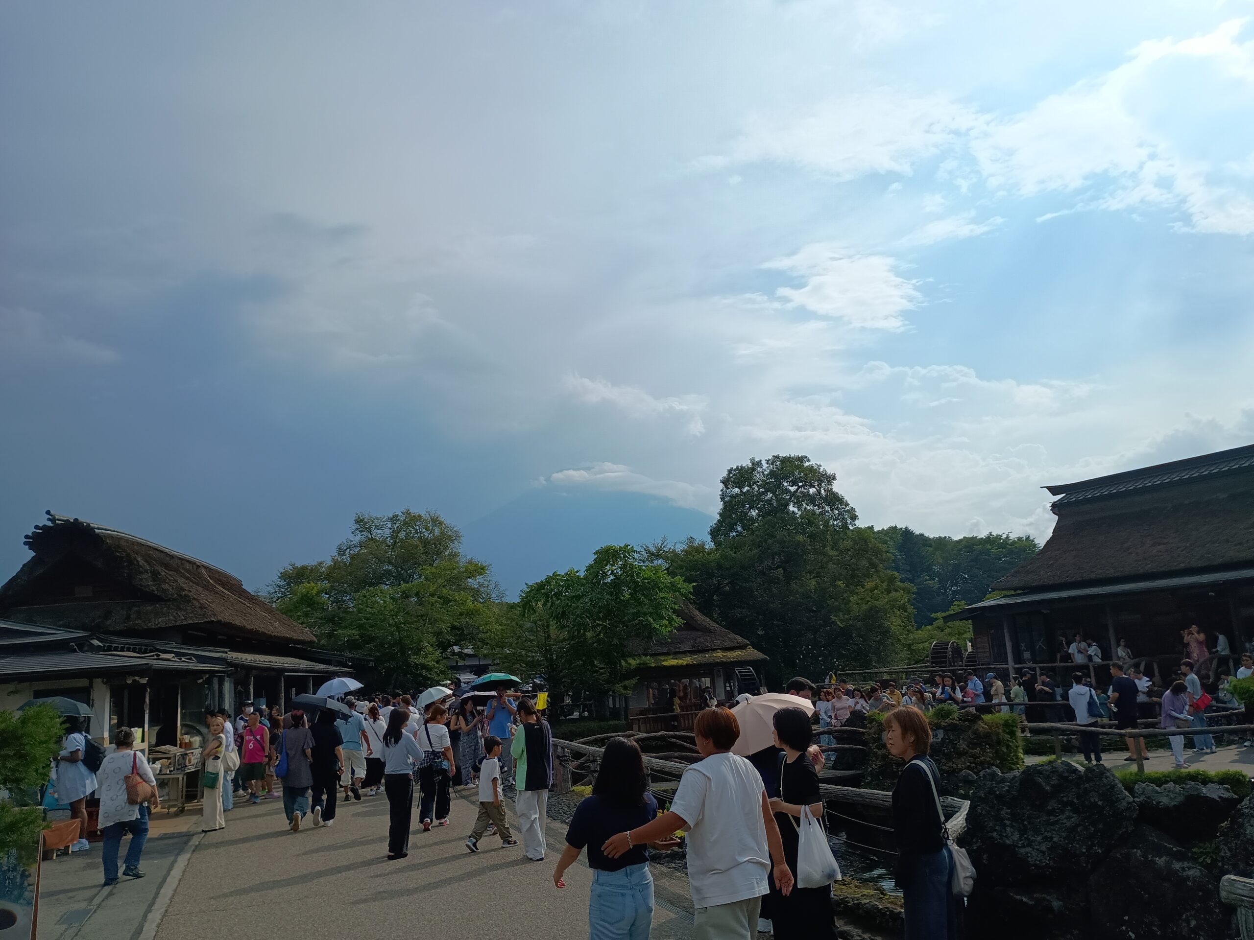 草餅も値上げ