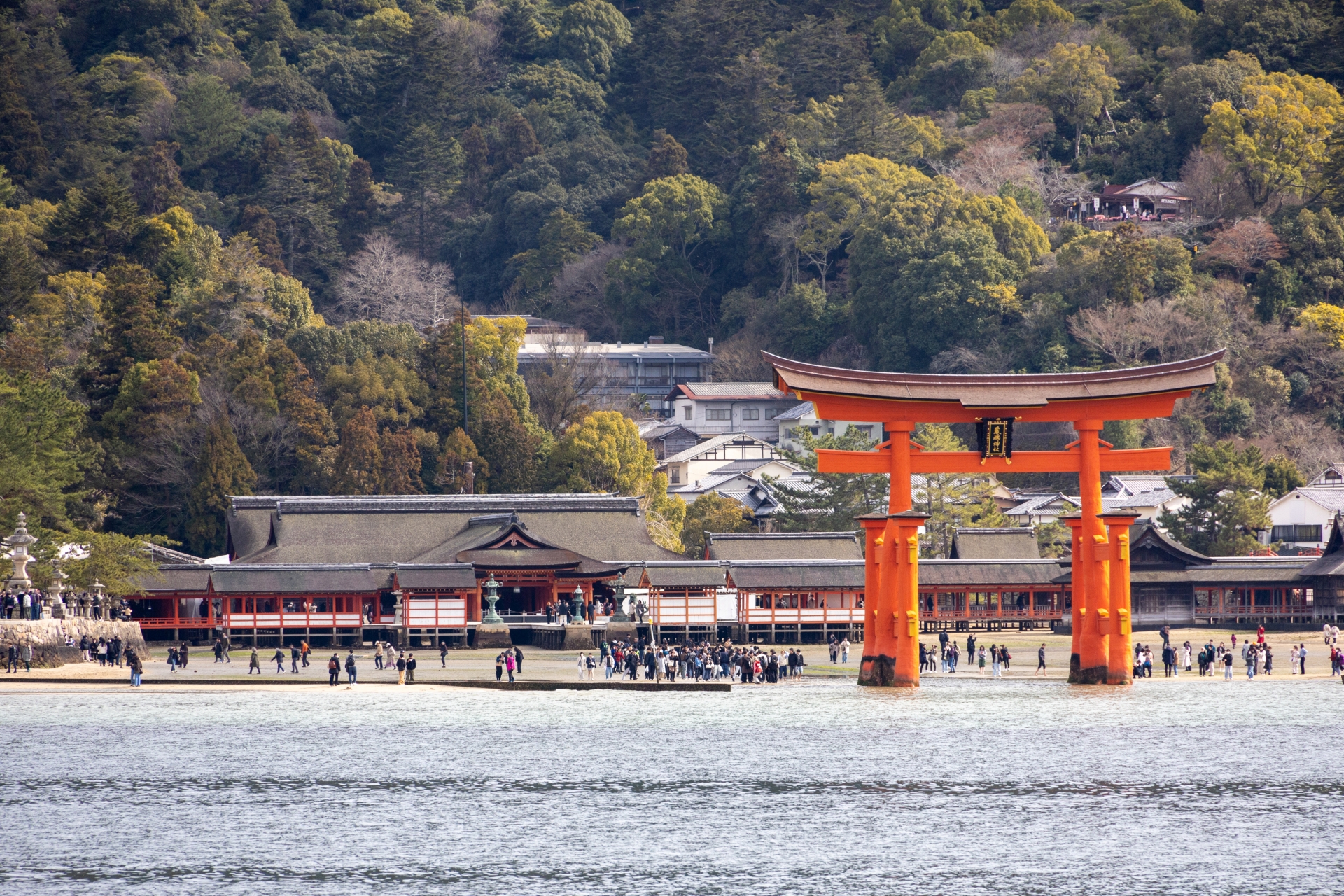 修学旅行