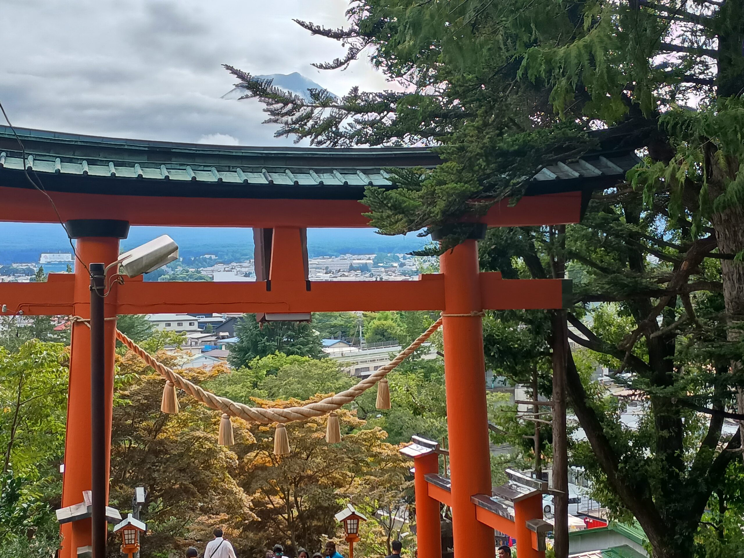 恵まれた一日