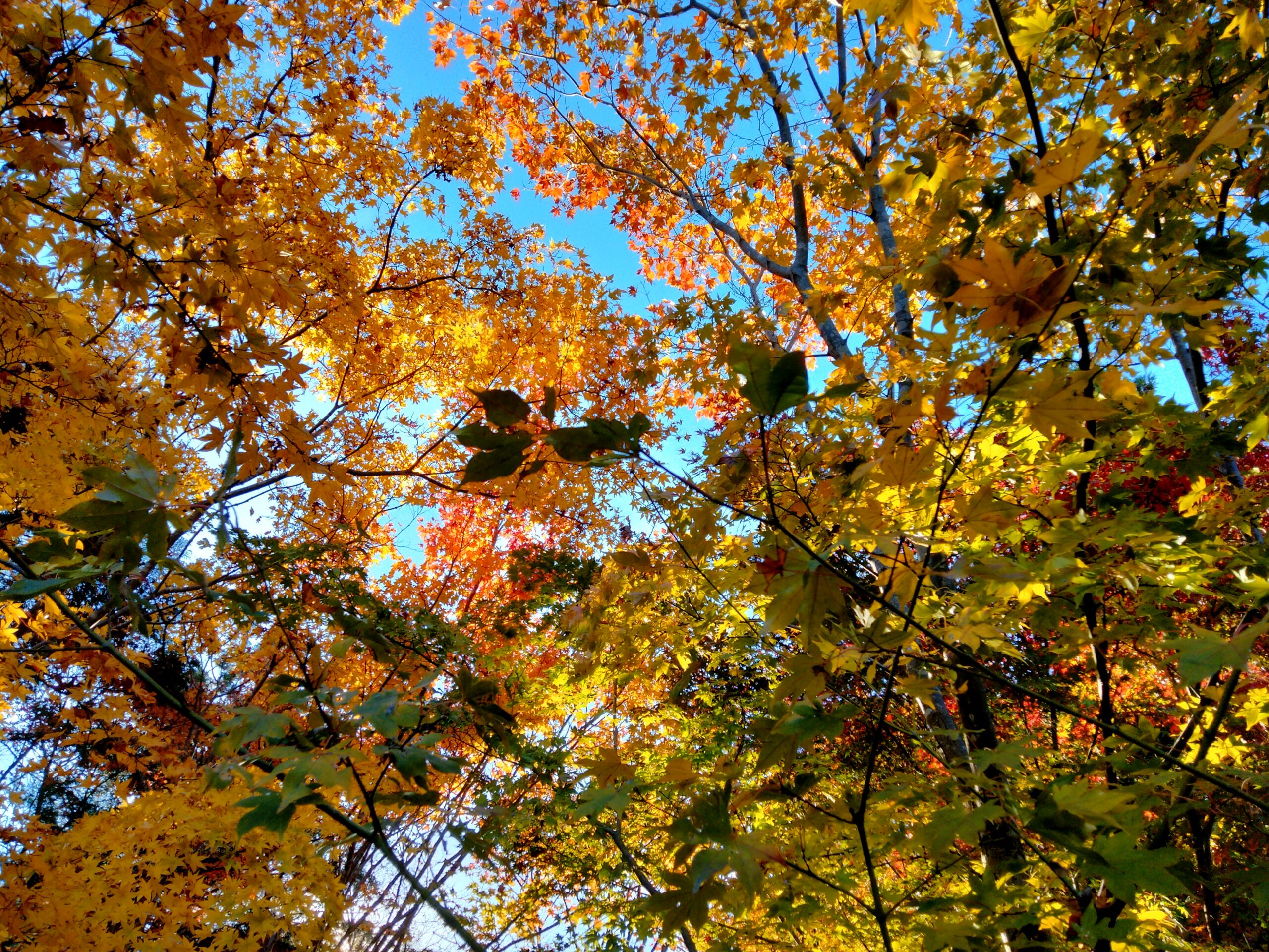すっかり受験生