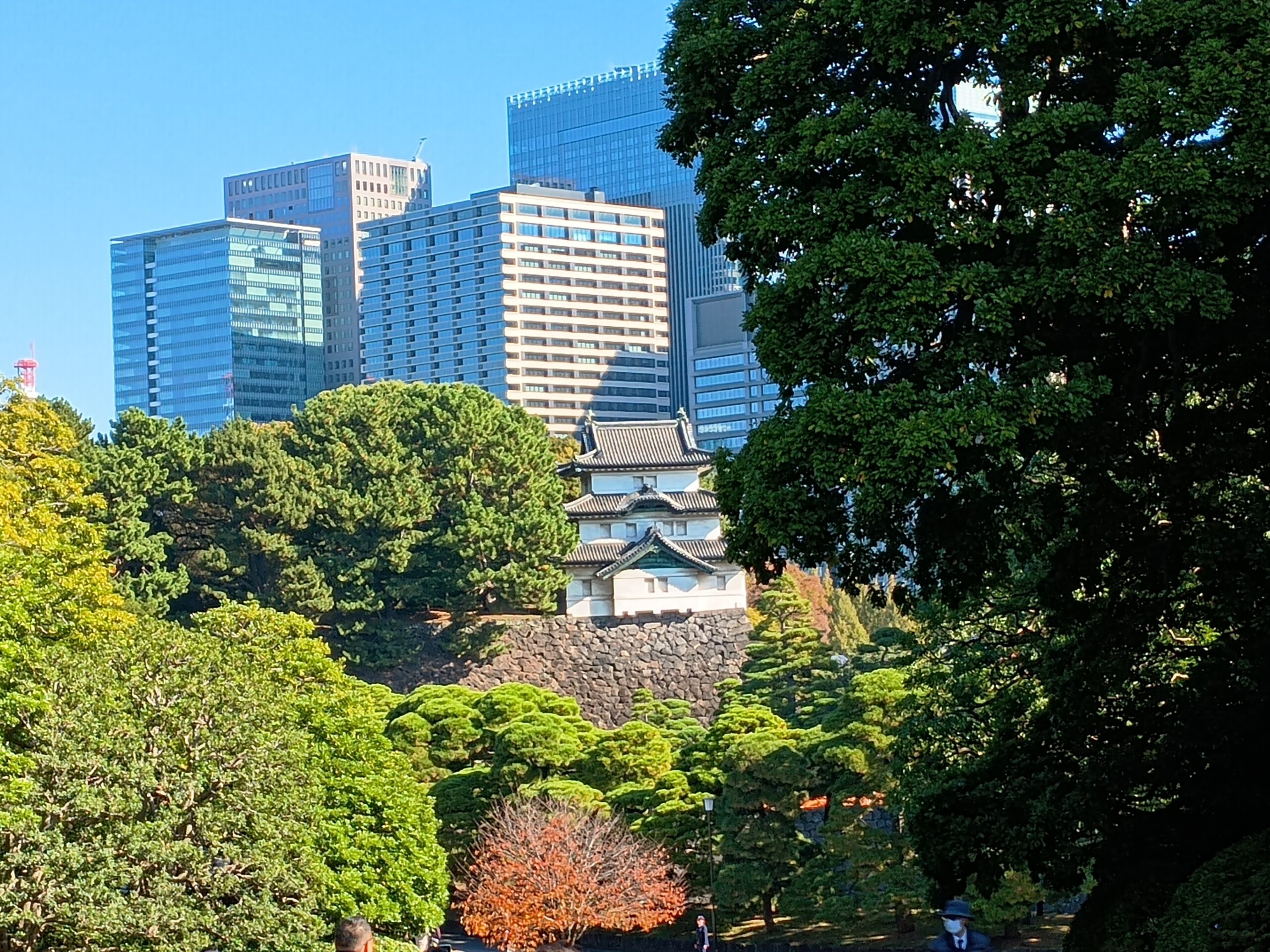 はじめての皇居(2)