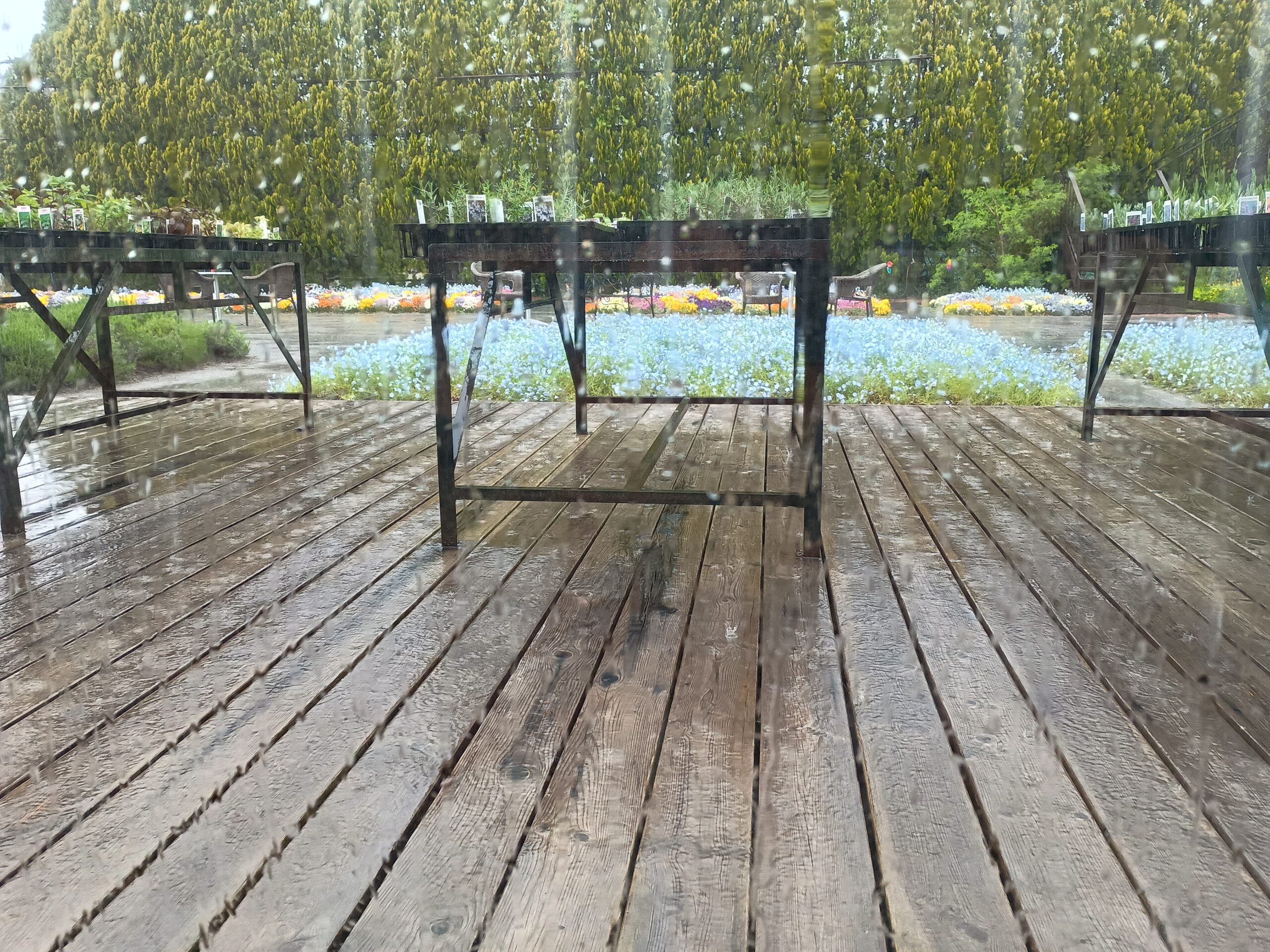 雨宿り