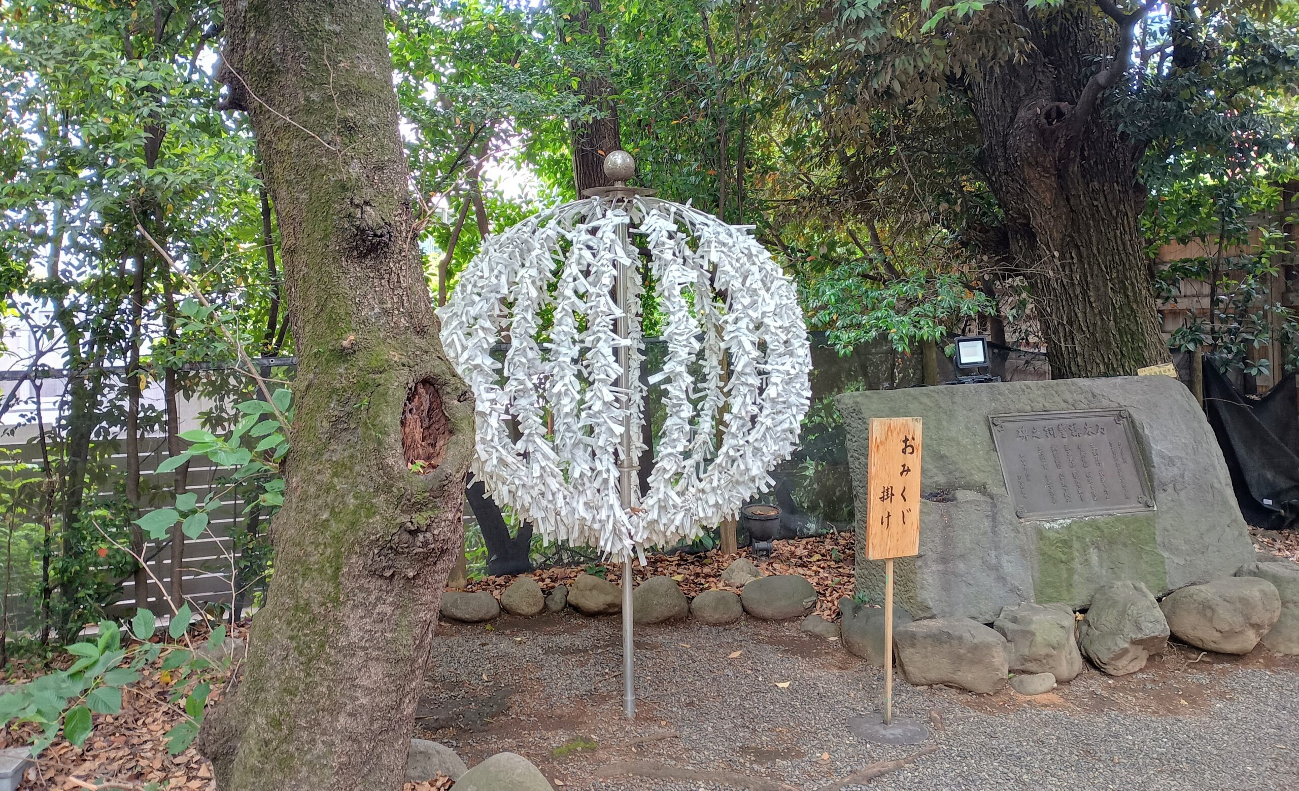 おみくじ掛け